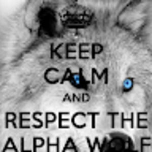 Meet your Posher, Gabe